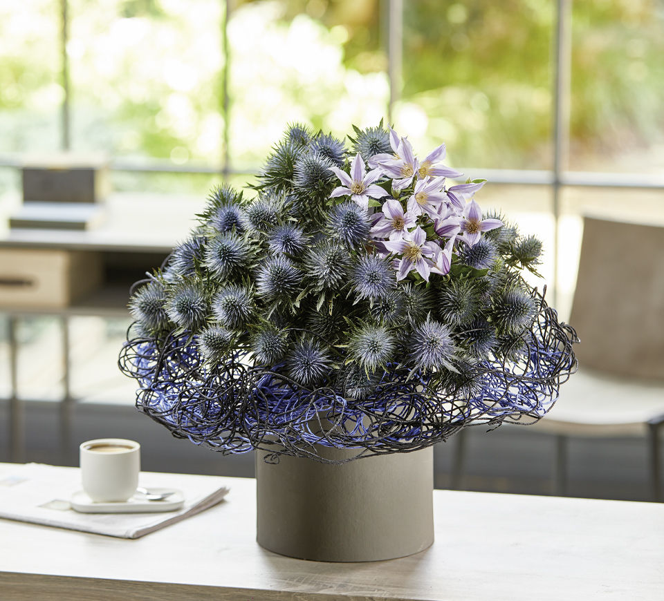 Thistle arrangement in pot