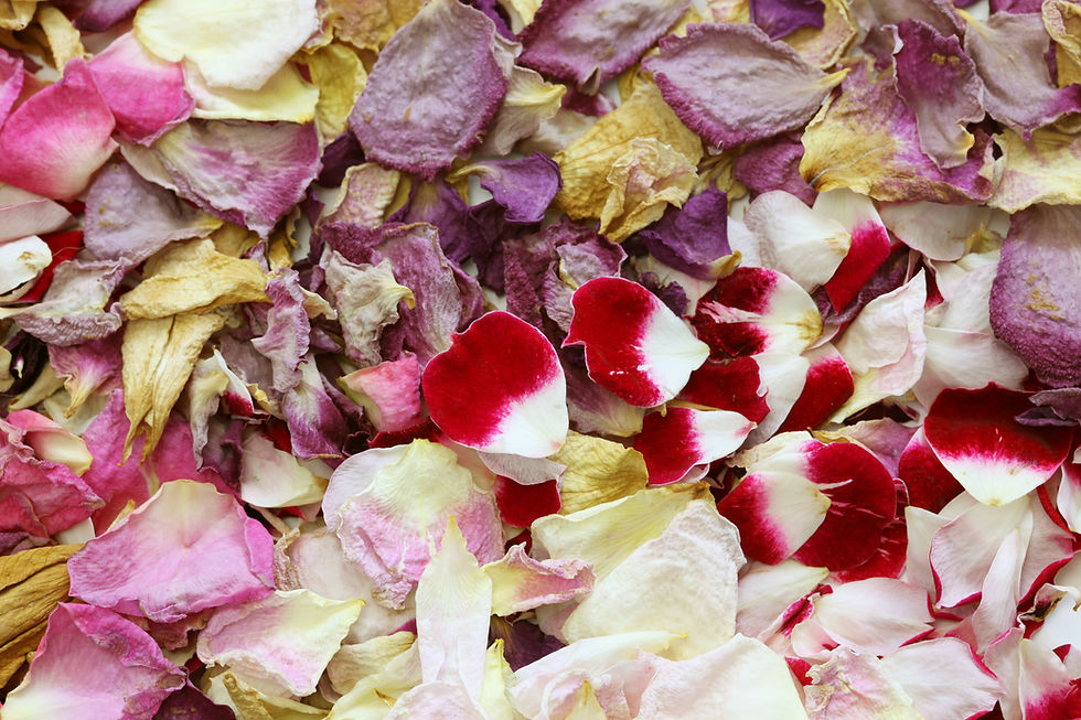 petals for confetti