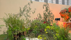 RHS Chelsea Flower Show 2025 Creative Spaces - Floristry Ambassadors Award