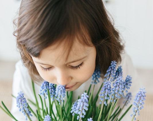 Plants for kids child with flowers