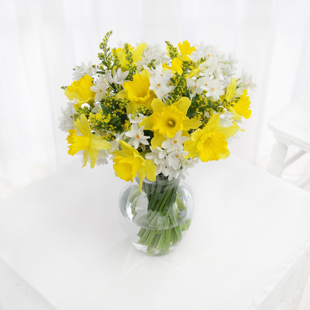 Spring Flowers Narcissi