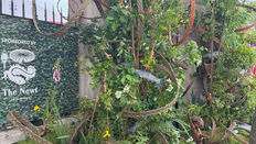 Preview: RHS Chelsea Flower Show 2026 