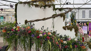 East Durham College at RHS Chelsea Flower Show