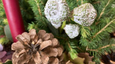 Watch Karen Barnes Bring a Christmas Planted Arrangement to Life
