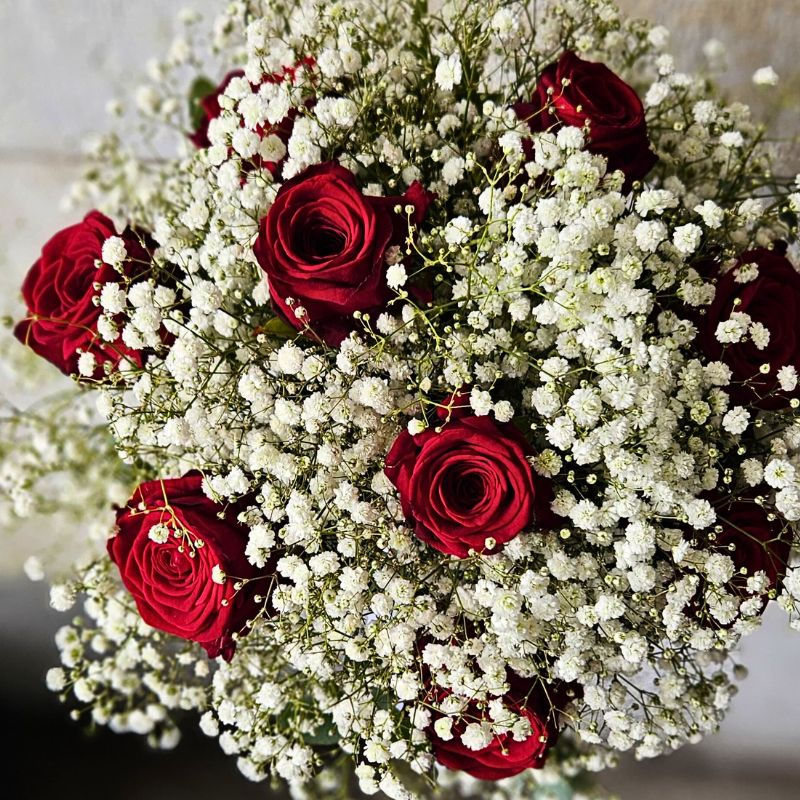 XLence® Paul Fleischli , Blumen Krämer