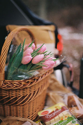 Summer Flowers Tulips