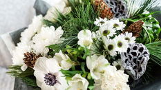 How to Care for Winter Bouquets in Cold Weather