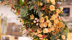 Create it with Dianthus, the Flower for all Occasions