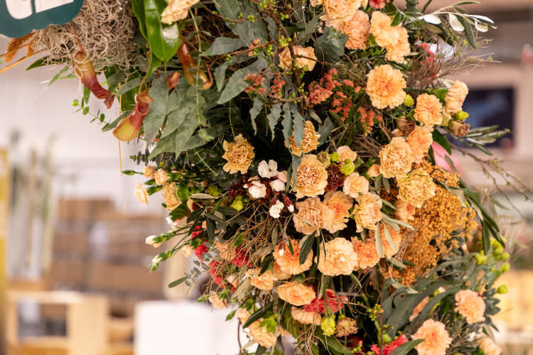 dianthus in arrangement