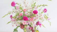 Flamenco Gladioli from FleuraMetz