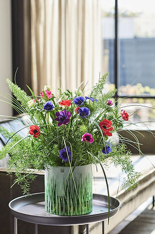 Winter Flowers Anemones