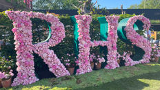 'Colour' at RHS Chelsea Flower Show 2024