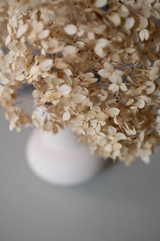 Winter Flowers Dried Hydrangea