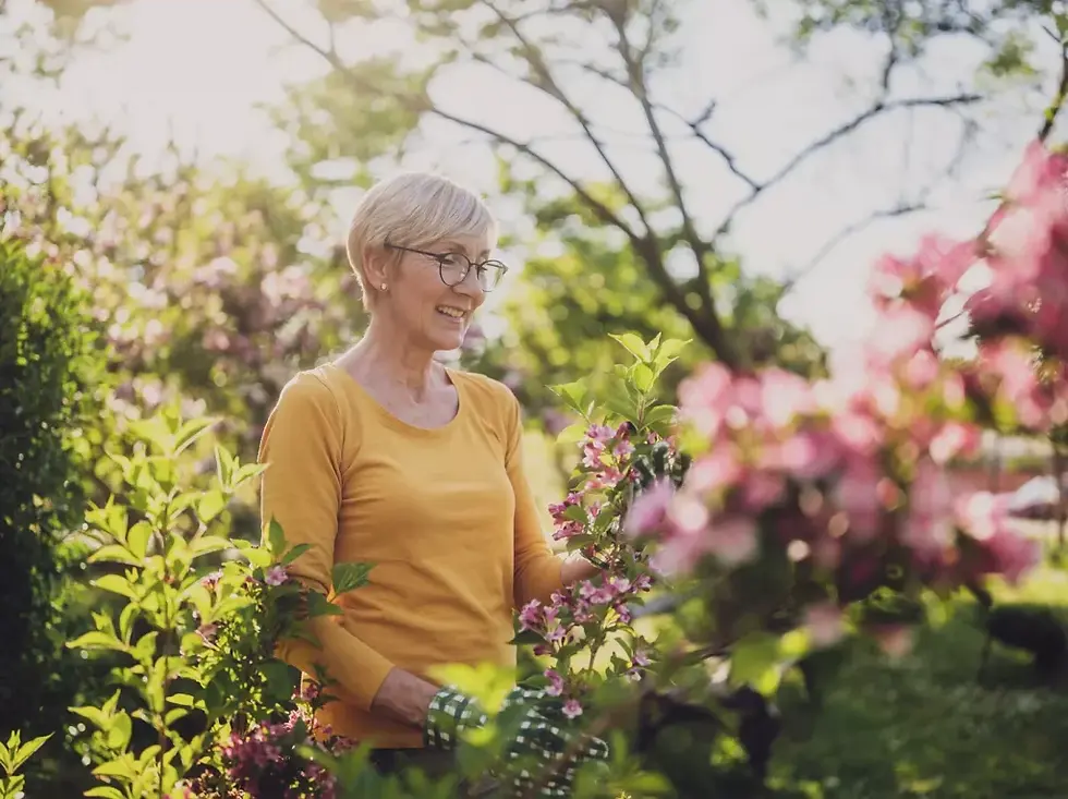 Smiling older woman in a yellow shirt gardening among pink blossoms in a sunny garden.