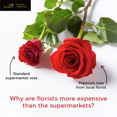 Why Florists are More Expensive than Supermarkets - Infographic to Download