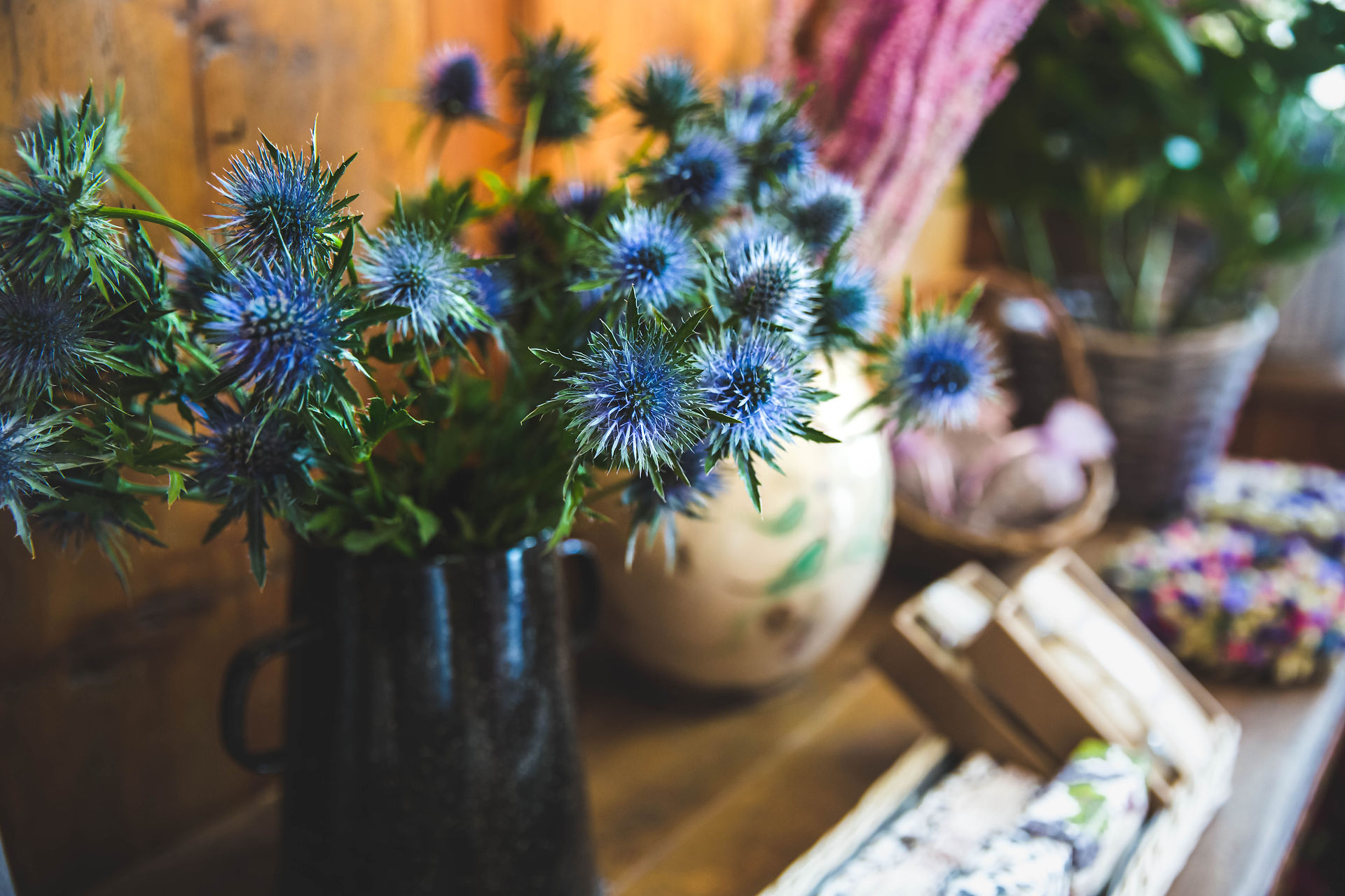 Thistles in vase