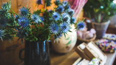 Eryngium featuring Floristry Tips from Su Whale
