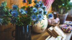 Eryngium featuring Floristry Tips from Su Whale
