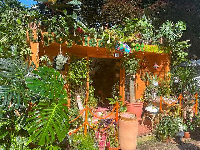 Chelsea Flower Show’s Houseplant Studios