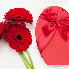 Rose Alternative for Valentine's - Gerbera