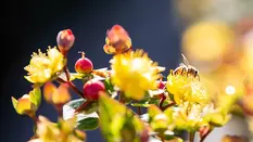 Sustainability FAQs with Marginpar