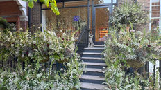 Chelsea in Bloom 2025 - Fashion in Flowers Winners