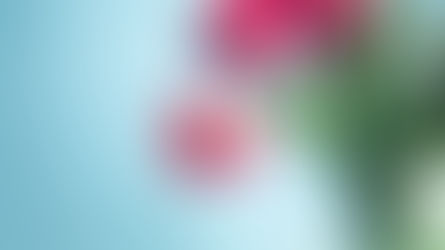 Floral Tropisms 