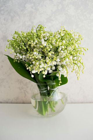 Summer Flowers Lily of the valley