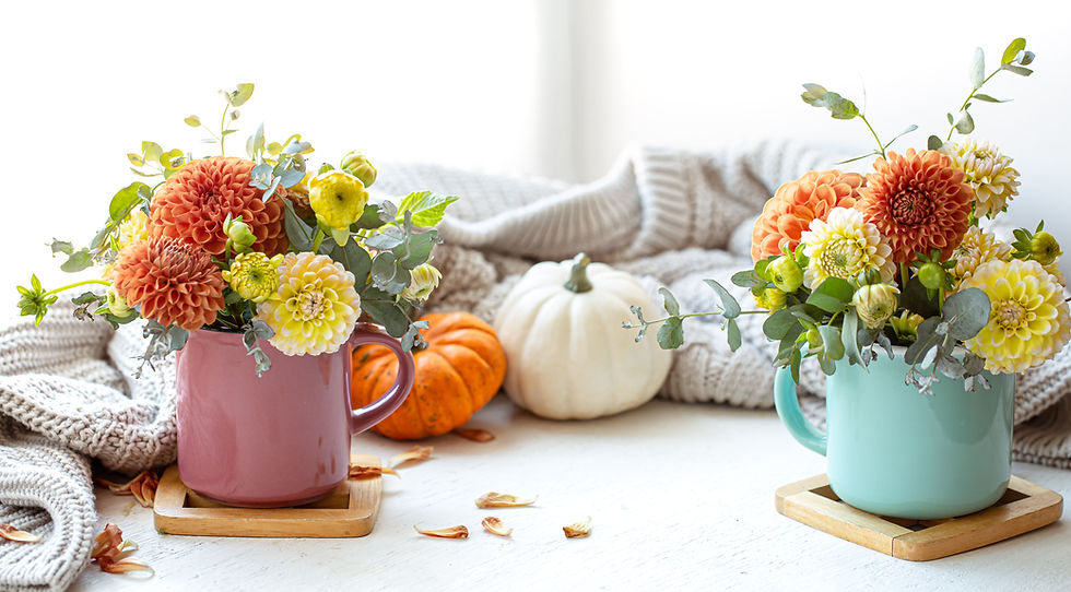 Two colorful flower arrangements in mugs flank white and orange pumpkins on a cozy knit blanket, creating a bright autumn still life.