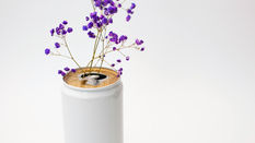 Are Home Remedies as Effective as Commercial Flower Food?