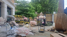 Chelsea in Bloom Photo Gallery 2025