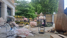 Chelsea in Bloom Photo Gallery 2025