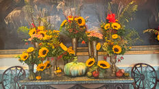 Harrogate Autumn Flower Show - Photo Gallery