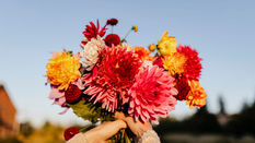 Promoting Autumn