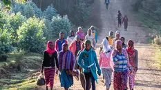 We Grow People - Our People Grow Flowers
