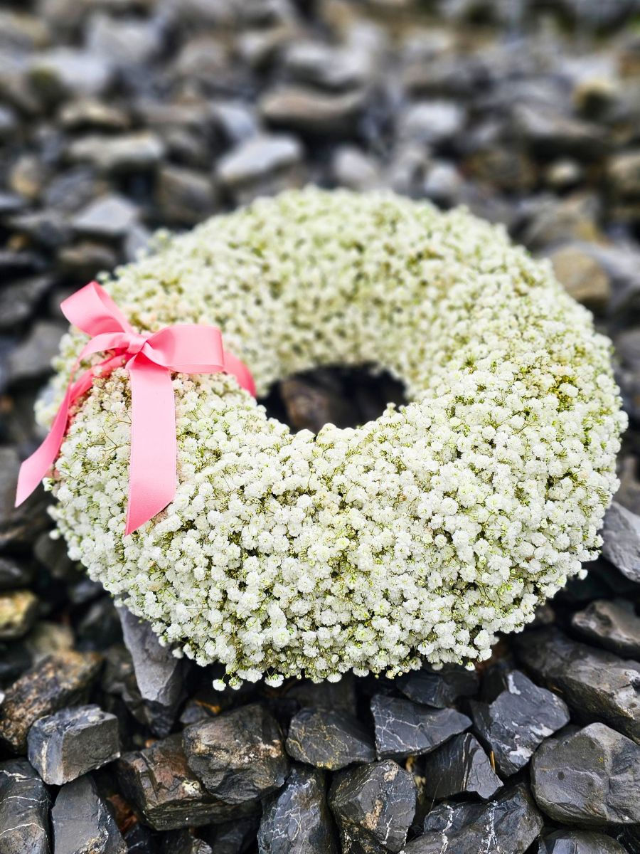 XLence® Paul Fleischli , Blumen Krämer