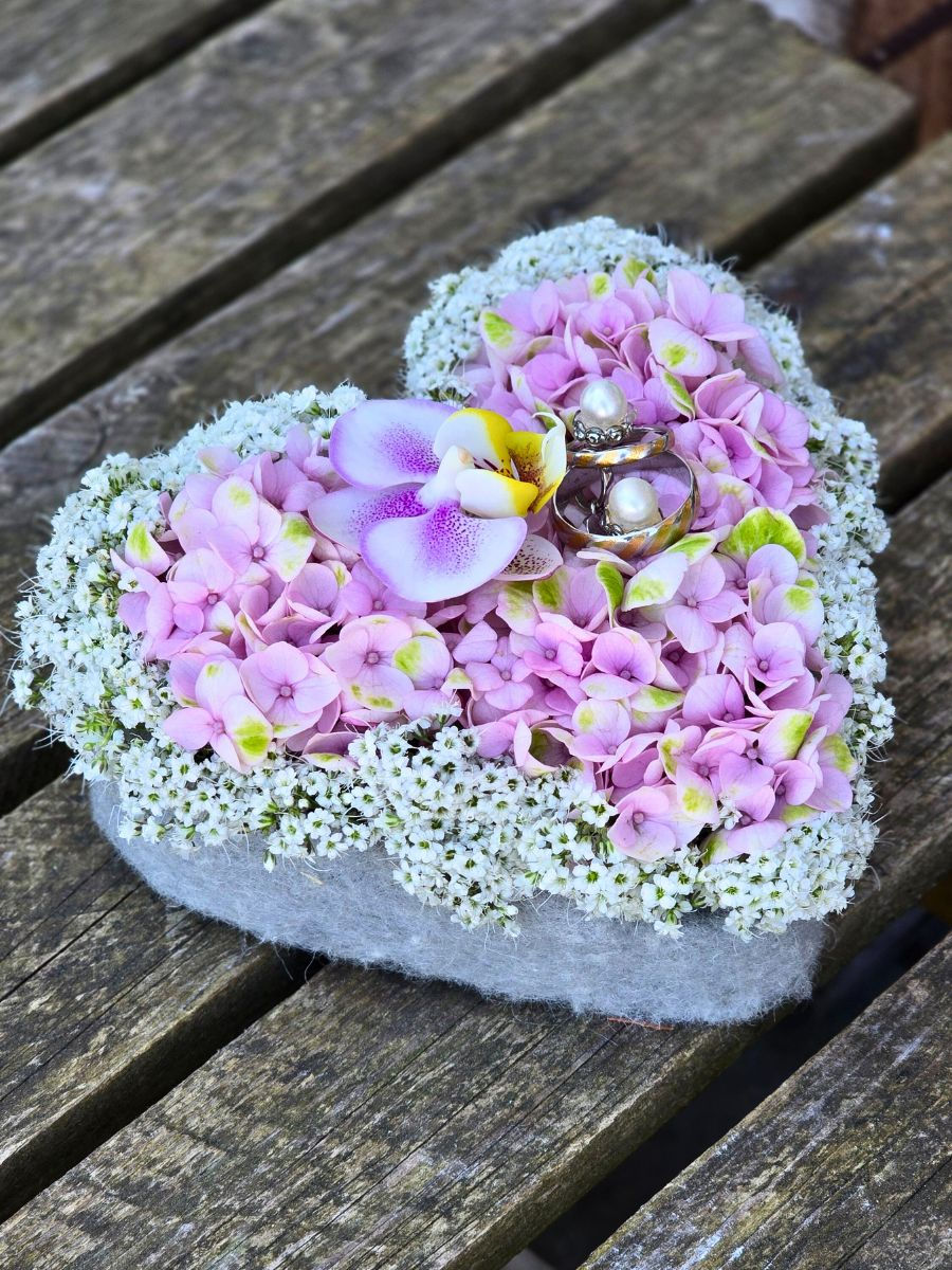 Million Daisy™ Nicole Haffner , Blumenwerk