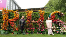 Acacia Creative Studio Returns to RHS Chelsea 2026