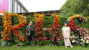 Acacia Creative Studio Returns to RHS Chelsea 2026