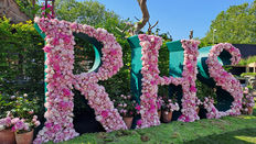 Preview: RHS Chelsea Flower Show 2025 Floristry Competitions