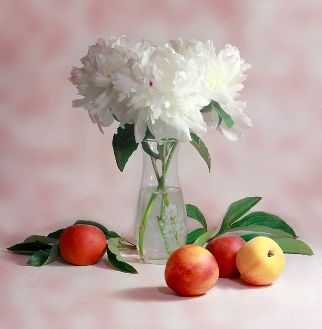 refreshing Summer fruit with June Flowers Peonies