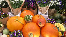 Creating Halloween Products with Pumpkins 