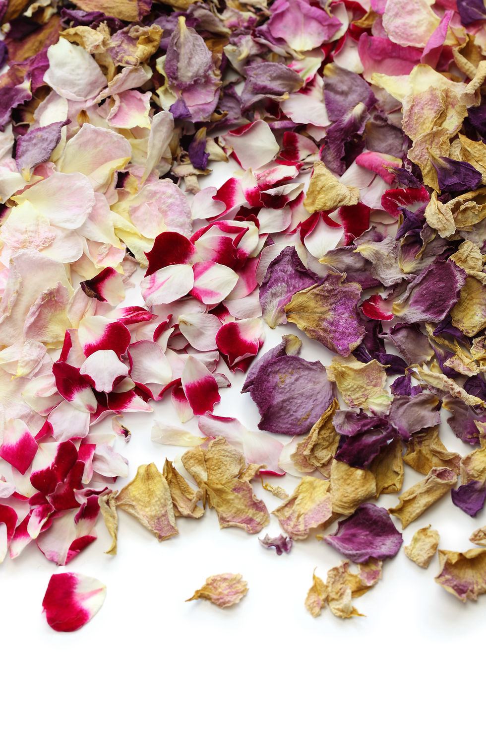 confetti petals