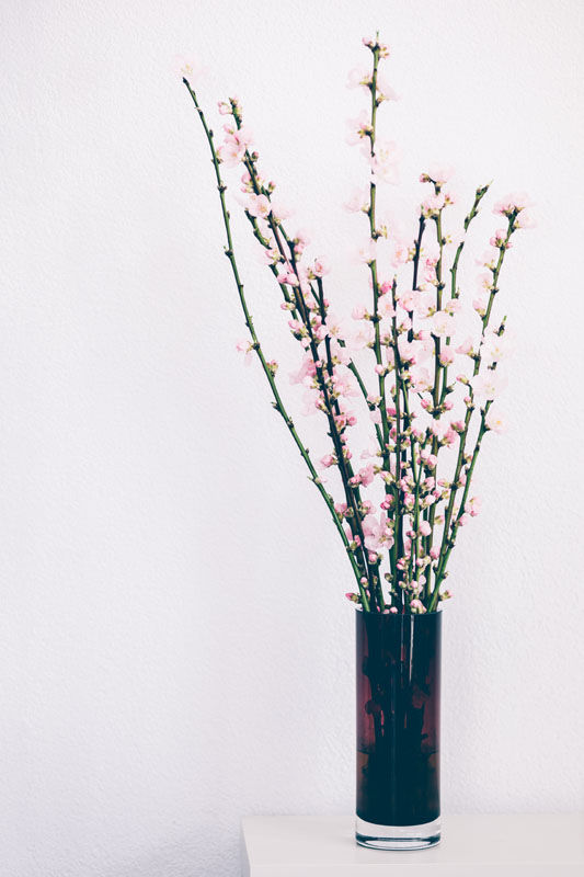 Cherry Blossom in coloured glass vase