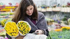 Understanding Flower Ripeness