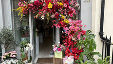 Belgravia in Bloom 2026 - Photo Gallery