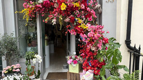 Belgravia in Bloom 2026 - Photo Gallery 