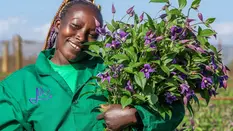 Marginpar Embrace Sustainable Energy Practices