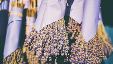 Summer Seasonal Flower: Lavender 