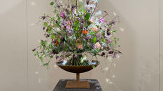 Elizabeth Newcombe Wins Gold at RHS Chelsea 2025